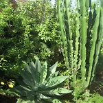Nyaraló Finca Los Corrales
