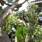Finca Los Corrales Nyaraló