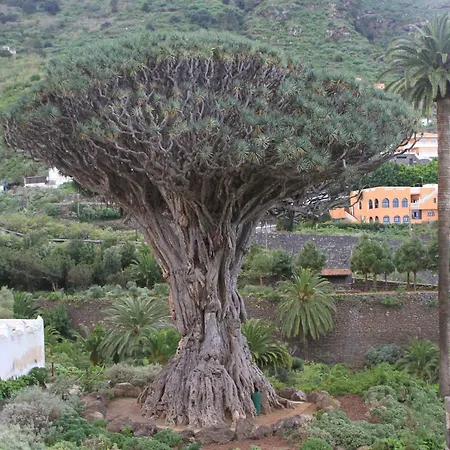 Сasa de vacaciones Finca Los Corrales El Tanque