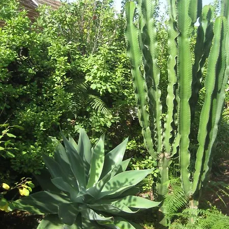 Сasa de vacaciones Finca Los Corrales