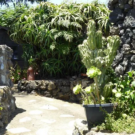 Tatil Evi Finca Los Corrales *