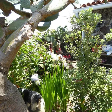 Finca Los Corrales Tatil Evi