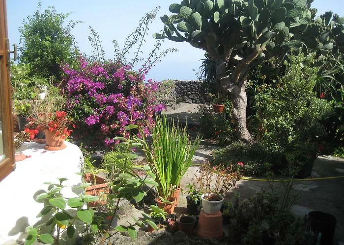 Feriehus Finca Los Corrales *