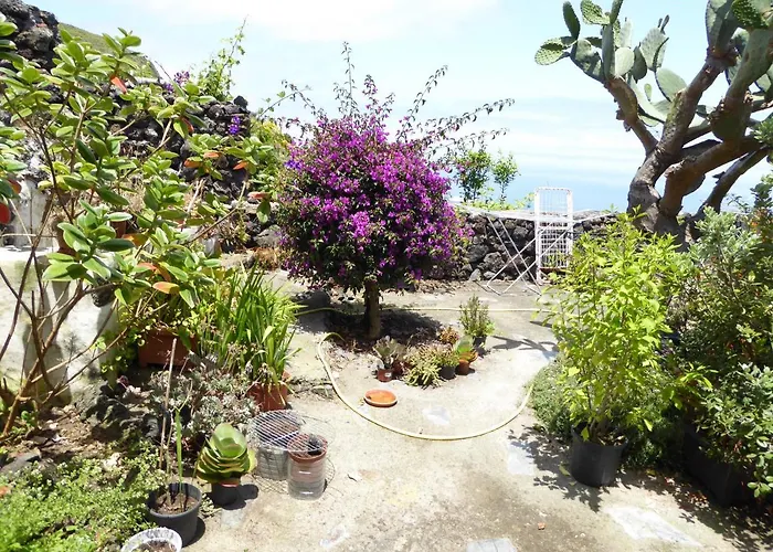 Feriehus Finca Los Corrales *